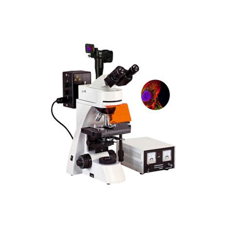 數碼型熒光顯微鏡BFM-600系列